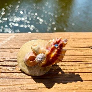 Handcrafted Shell Hair Clip